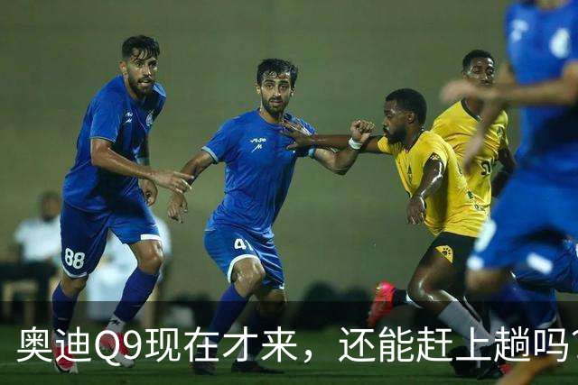 奥迪Q9现在才来，还能赶上趟吗？